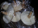 EDODES_65_2.jpg