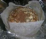 Velripes_001_01.jpg