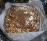 Velripes_001_02.jpg