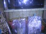 mashroom_001.jpg
